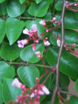 thumb_07nic_118.jpg