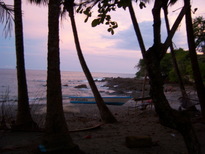 thumb_07nic_119.jpg