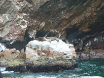 thumb_07costa_rica_107.jpg