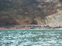 thumb_07costa_rica_136.jpg