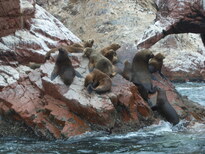 thumb_07costa_rica_145.jpg