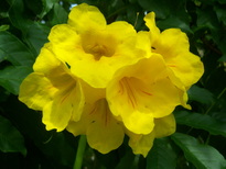 thumb_07costa_rica_192.jpg