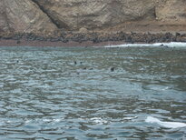 thumb_07costa_rica_242.jpg