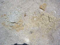 thumb_07costa_rica_257.jpg