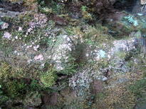 thumb_07costa_rica_427.jpg