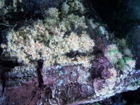 thumb_07costa_rica_428.jpg