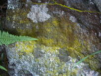 thumb_07costa_rica_429.jpg