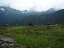 thumb_07costa_rica_441.jpg