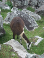 thumb_07costa_rica_473.jpg