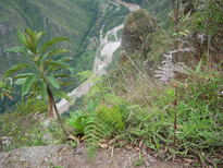 thumb_07costa_rica_493.jpg