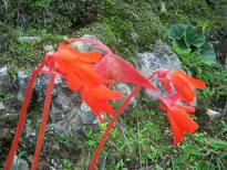 thumb_07costa_rica_504.jpg