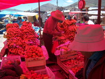 thumb_07costa_rica_569.jpg