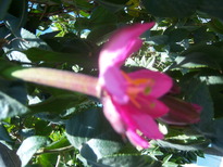 thumb_07costa_rica_666.jpg
