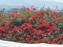 thumb_07costa_rica_680.jpg
