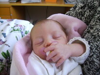 thumb_0803jjasmine_015.jpg