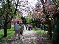 thumb_0805may_008.jpg