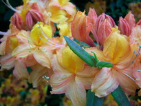 thumb_0805May_end_034.jpg