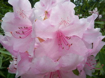 thumb_0805May_end_044.jpg