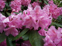thumb_0805May_end_045.jpg