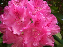 thumb_0805May_end_047.jpg