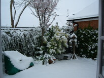 thumb_08044snow_CBay_001.jpg