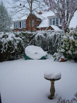 thumb_08044snow_CBay_006.jpg