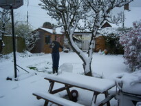 thumb_08044snow_CBay_020.jpg