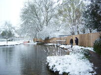 thumb_08044snow_CBay_029.jpg