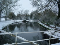 thumb_08044snow_CBay_030.jpg