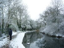 thumb_08044snow_CBay_033.jpg
