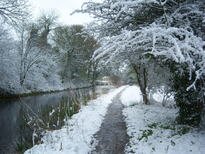 thumb_08044snow_CBay_034.jpg