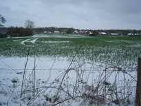 thumb_08044snow_CBay_035.jpg