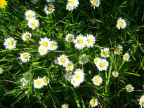 thumb_08044snow_CBay_066.jpg