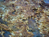 thumb_08044snow_CBay_076.jpg