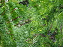 thumb_08044snow_CBay_077.jpg