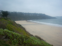 thumb_08044snow_CBay_129.jpg