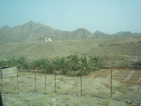 thumb_0806Dubai_034.jpg