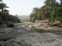 thumb_0806Dubai_036.jpg