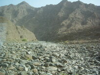 thumb_0806Dubai_042.jpg