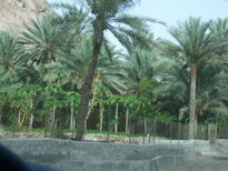 thumb_0806Dubai_047.jpg