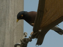 thumb_0806Dubai_103.jpg