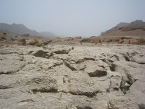 thumb_0806dubai2_027.jpg