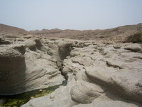 thumb_0806dubai2_029.jpg