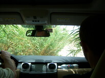 thumb_0806dubai2_038.jpg