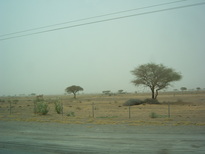 thumb_0806dubai2_040.jpg