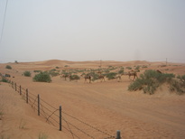 thumb_0806dubai2_043.jpg