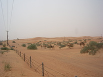 thumb_0806dubai2_044.jpg