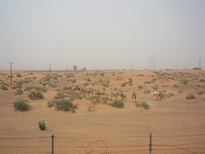 thumb_0806dubai2_046.jpg