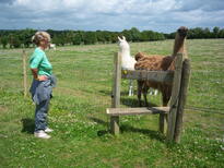 thumb_0806June_025.jpg