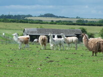thumb_0806June_029.jpg